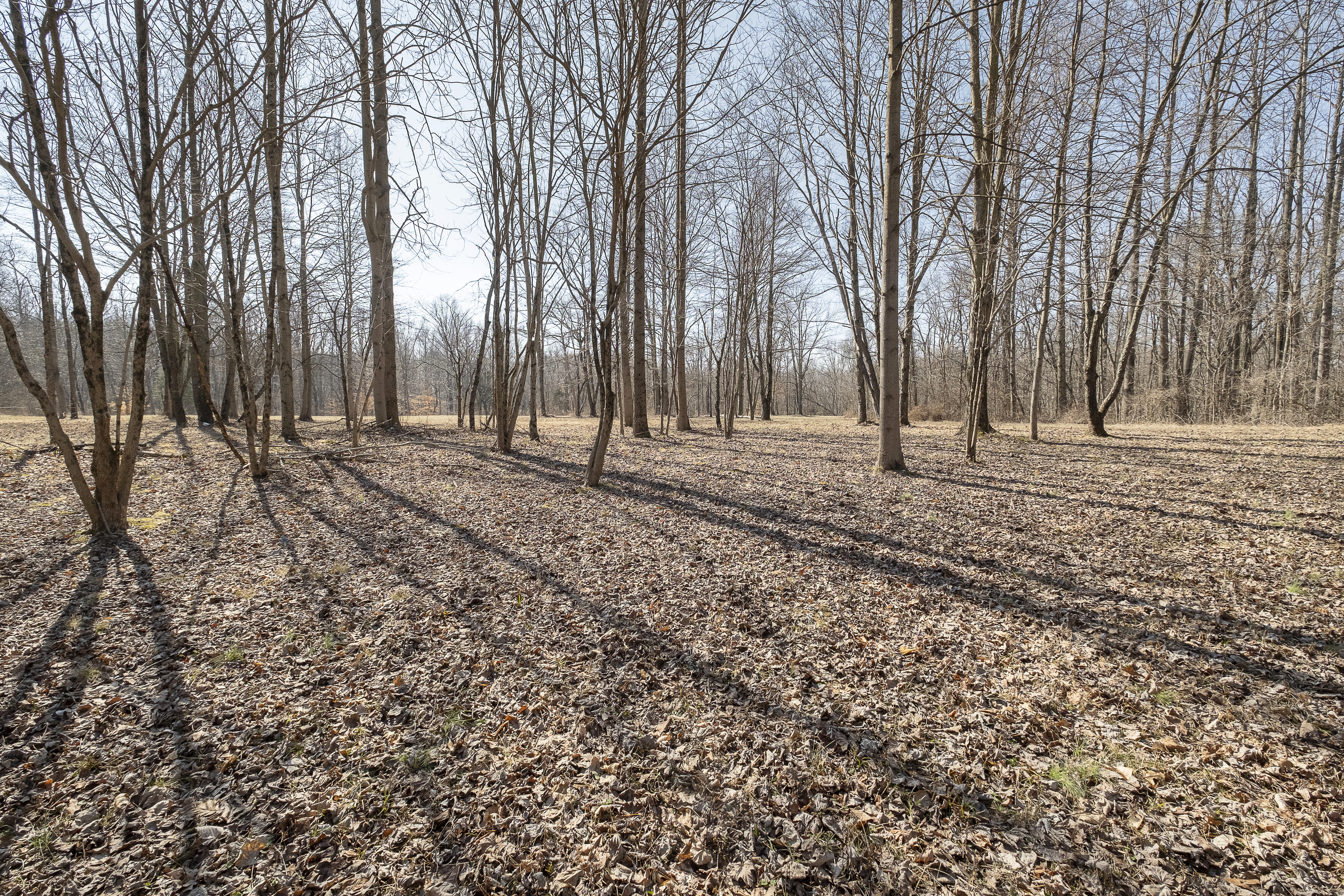 3640 West County Road 1385 North Rosedale, IN 47874 - Photo 9 of 21