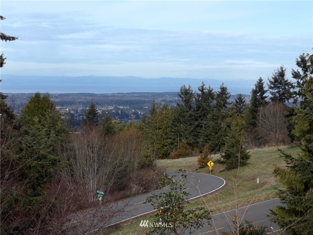 1643 Doe Run Road Sequim, WA 98382 - Photo 4 of 25