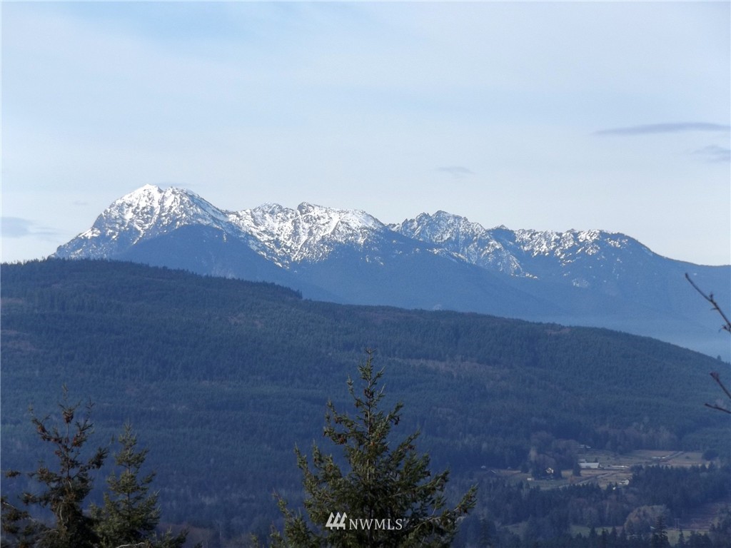 1643 Doe Run Road Sequim, WA 98382 - Photo 5 of 25