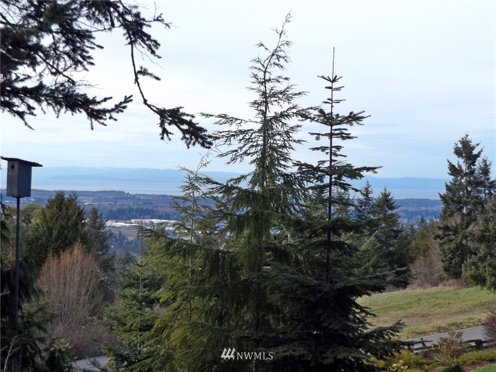 1643 Doe Run Road Sequim, WA 98382 - Photo 6 of 25