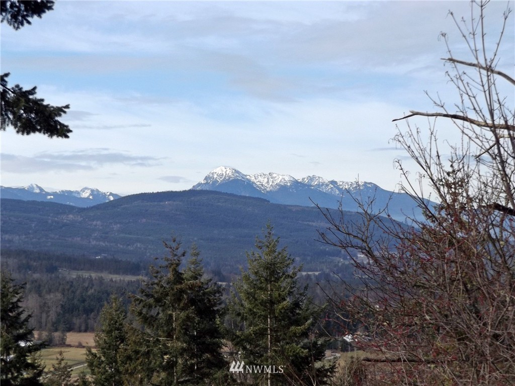 1643 Doe Run Road Sequim, WA 98382 - Photo 7 of 25
