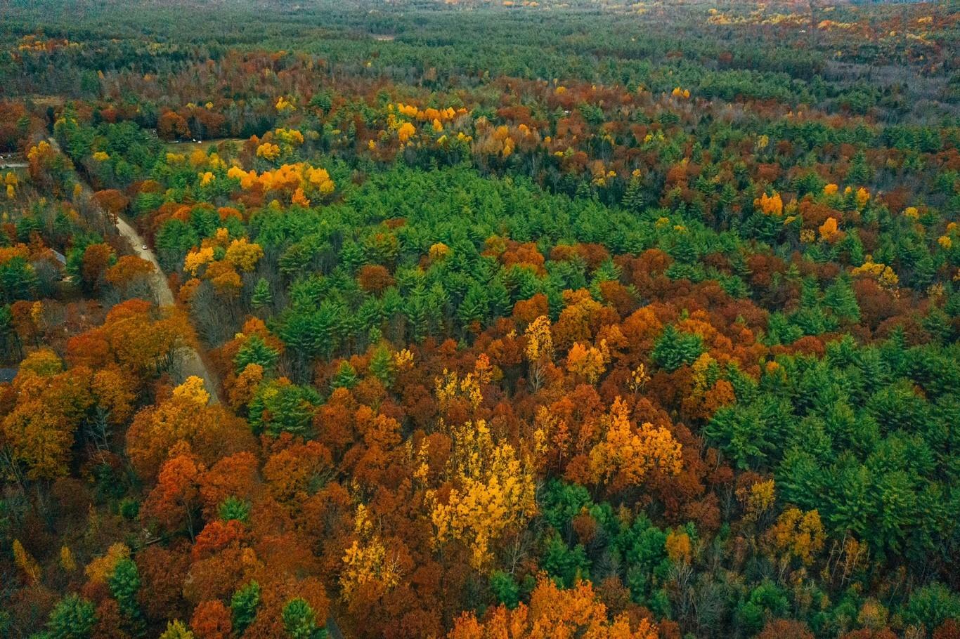 0 Spring Road West Newfield, ME 04095 - Photo 15 of 17 Drone 5