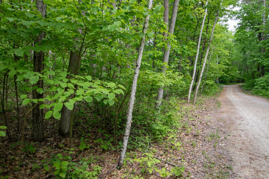 Tbd Pine Tree Road Sturgeon Bay, WI 54235 - Photo 6 of 8