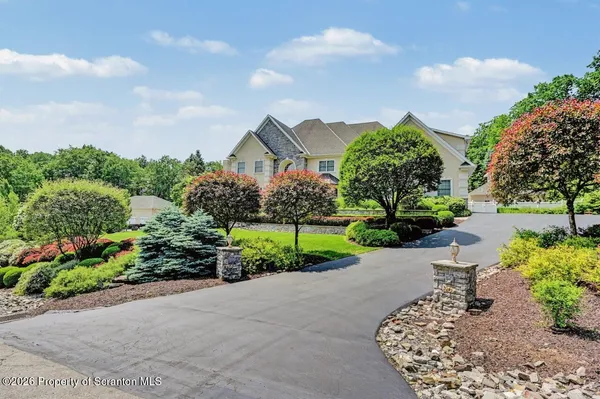 a view of a garden with a pathway