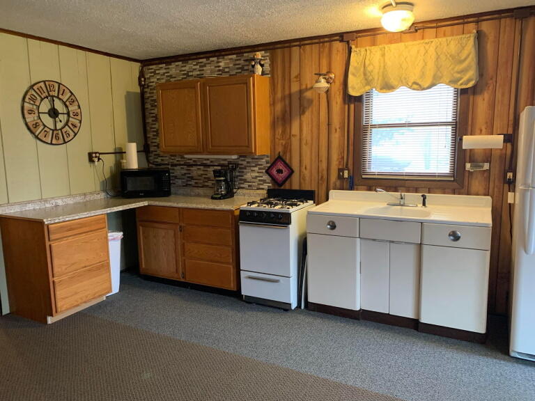 1020 Snake Branch Road Mio, MI 48647 - Photo 4 of 35 Gallery Image 4