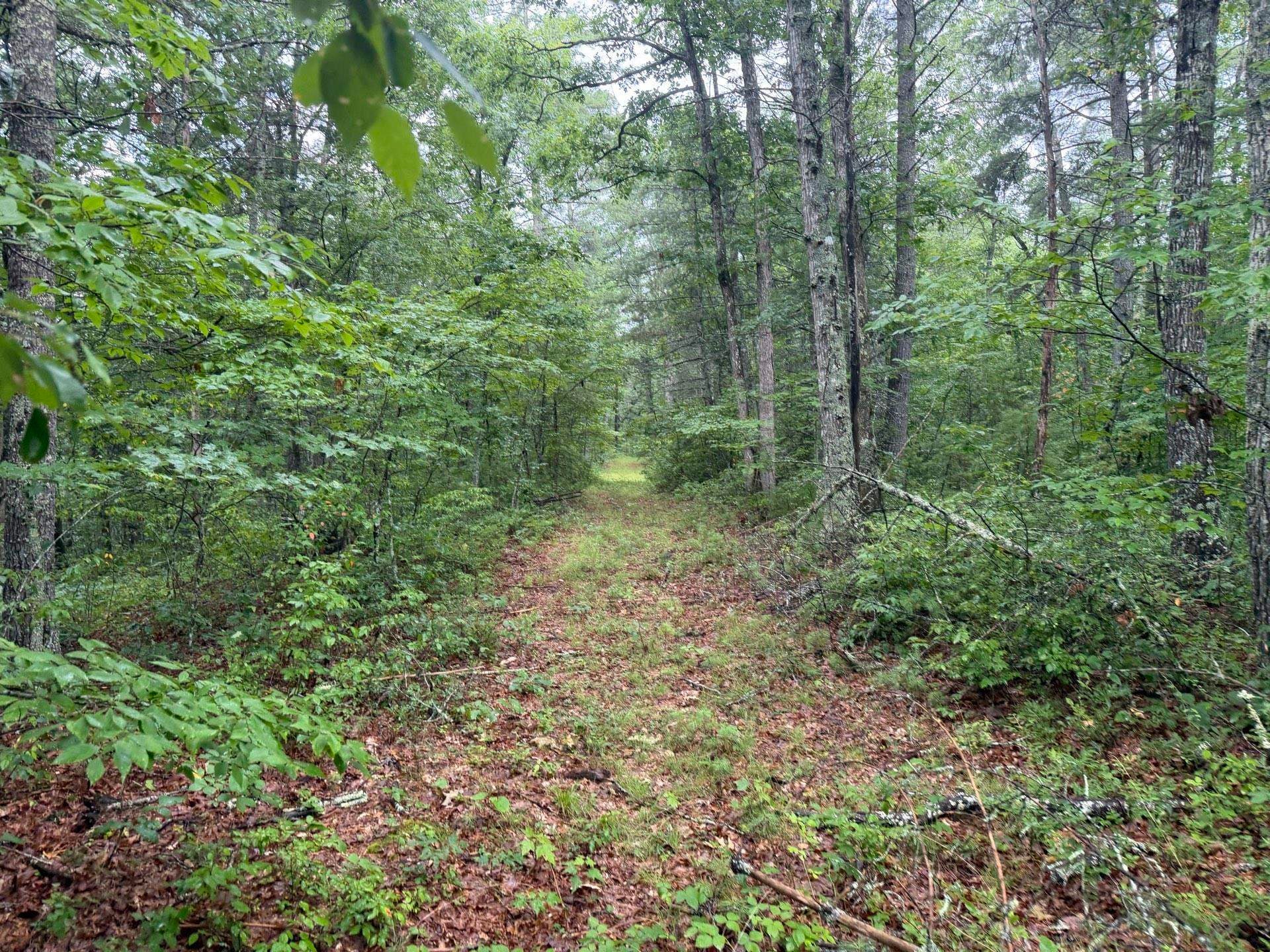 Tbd Short Ridge Drive Bland, VA 24315 - Photo 56 of 125 Gallery Image 56