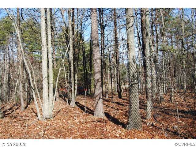 24101 Genito Road Amelia Court House, VA 23002 - Photo 3 of 12 View