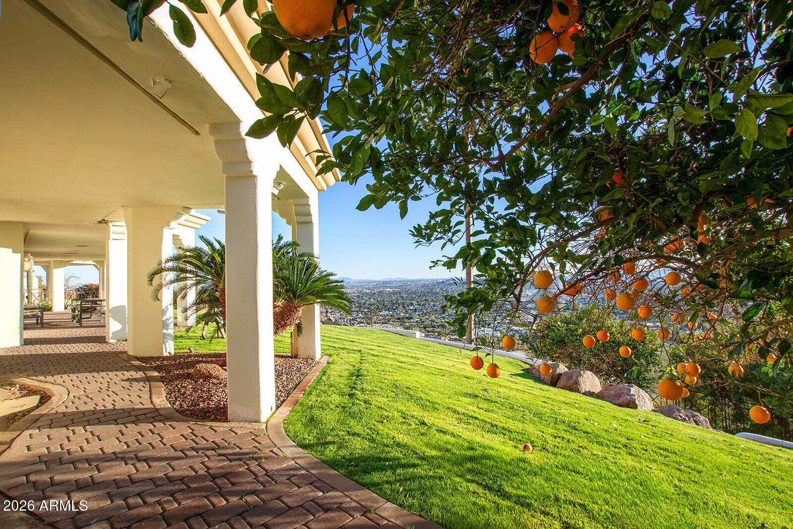 5400 East Valle Vista Road, Unit 4 Phoenix, AZ 85251 - Photo 24 of 72 EVEN FRUIT TREES