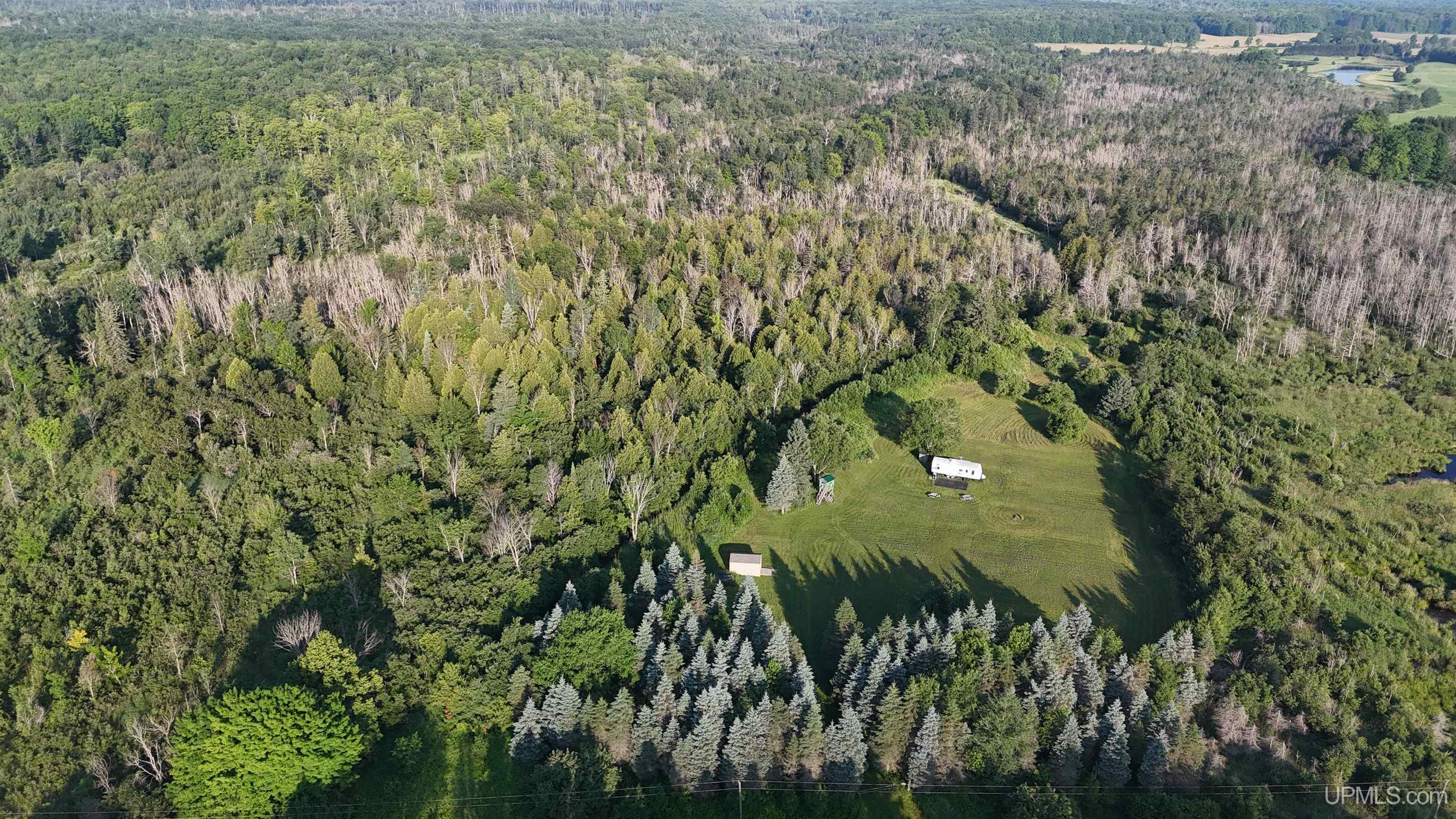 6219 North Rumley Road Skandia, MI 49885 - Photo 12 of 14 Gallery Image 12