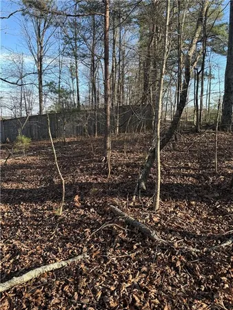 a view of a forest with trees in the background