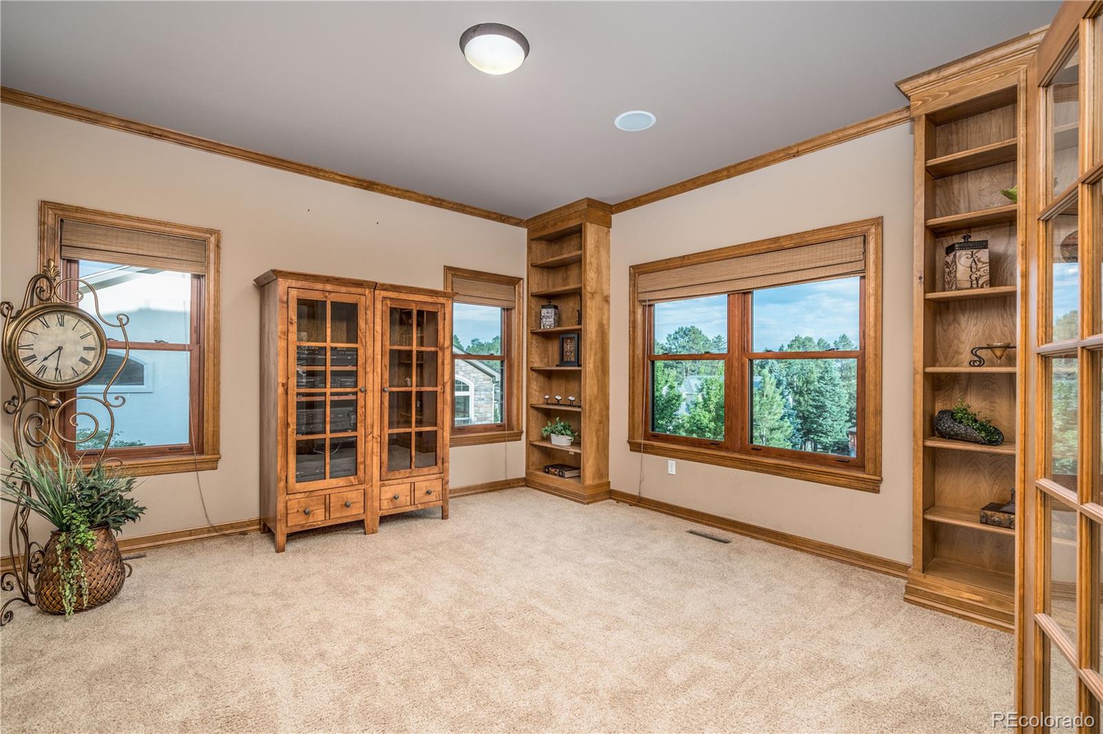 5310 Pinyon Jay Road Parker, CO 80134 - Photo 19 of 39