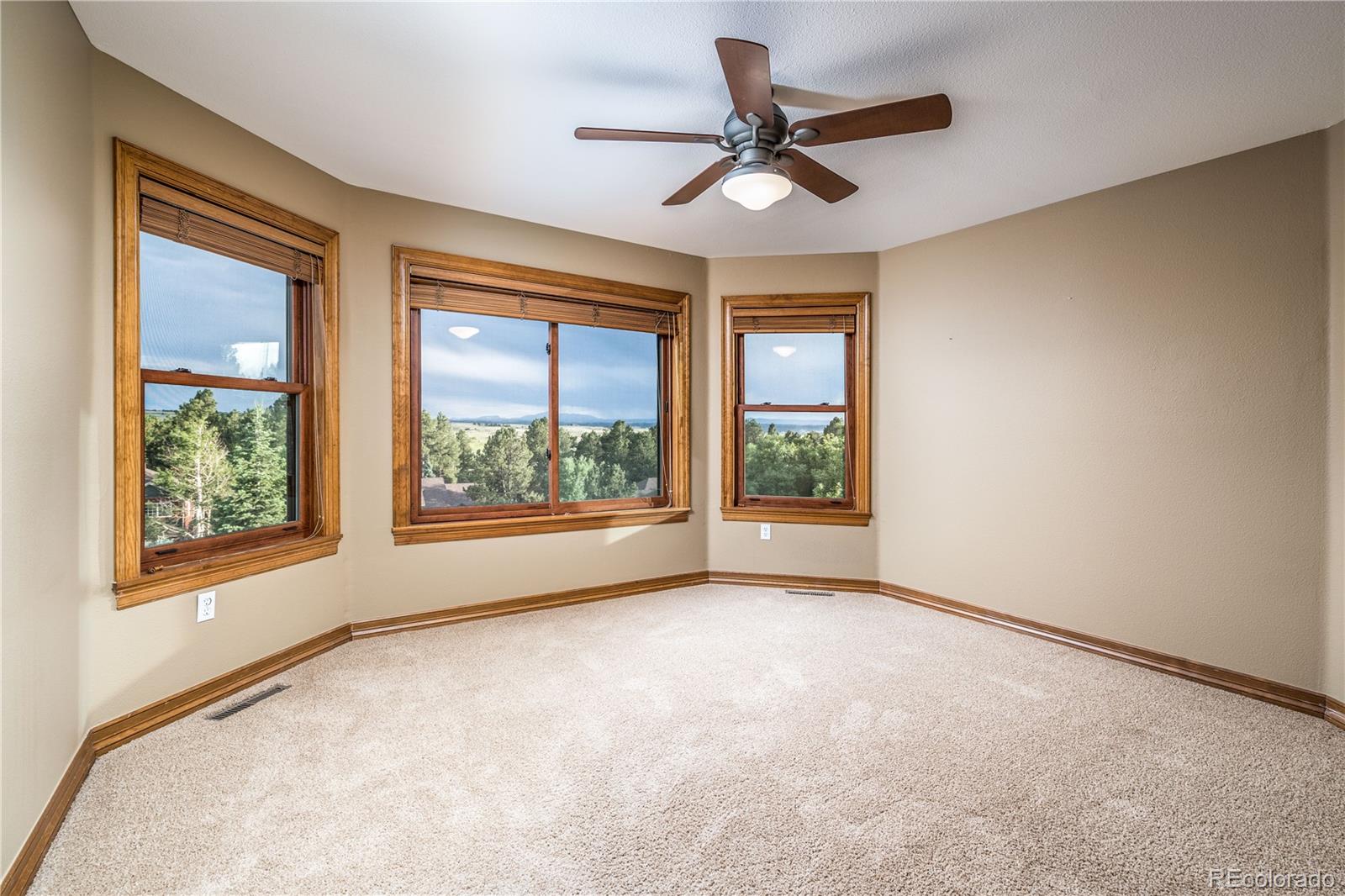 5310 Pinyon Jay Road Parker, CO 80134 - Photo 29 of 39