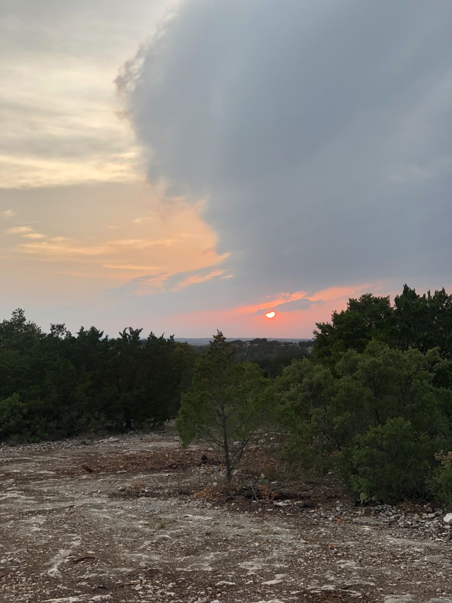 635 County Road 635 Rocksprings, TX 78880 - Photo 17 of 31 A vibrant sunset paints the horizon over a serene landscape of abundant trees.