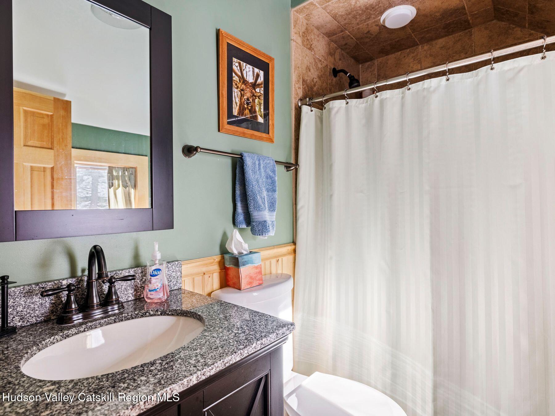 13 Brainard Ridge Road Windham, NY 12496 - Photo 21 of 44 photo_online_041