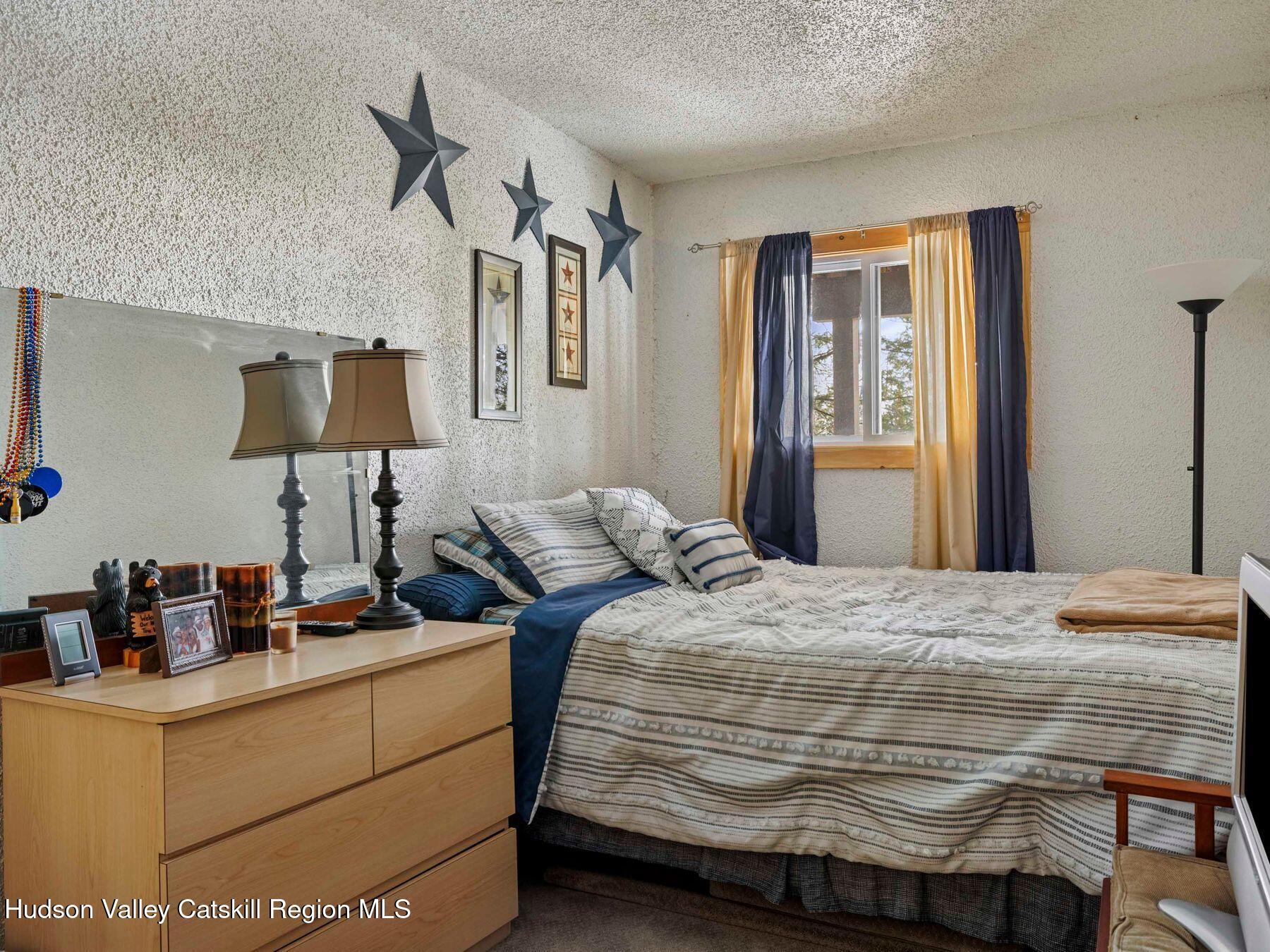 13 Brainard Ridge Road Windham, NY 12496 - Photo 23 of 44 photo_online_010