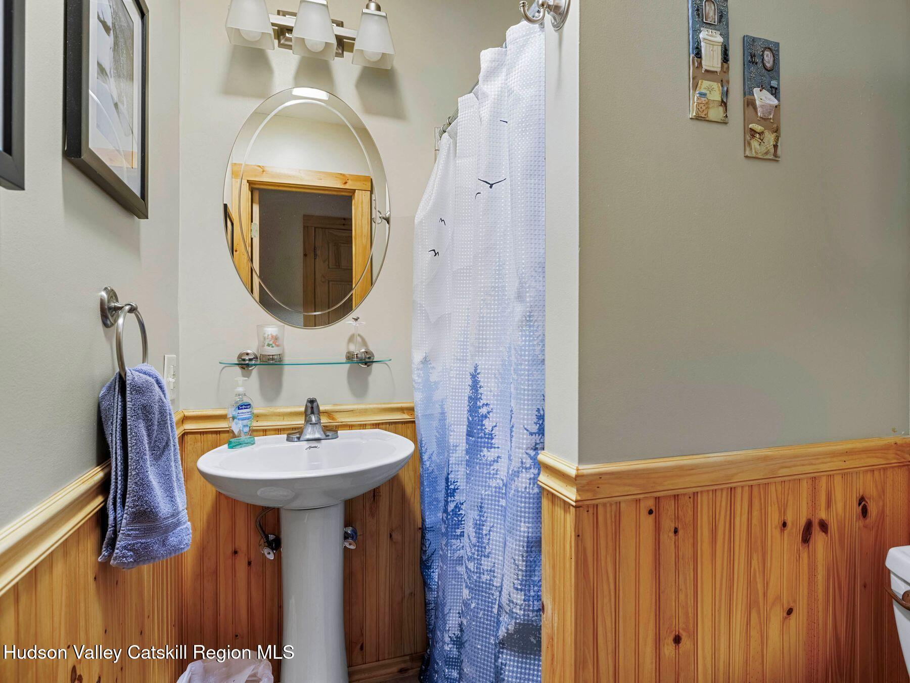 13 Brainard Ridge Road Windham, NY 12496 - Photo 24 of 44 photo_online_012