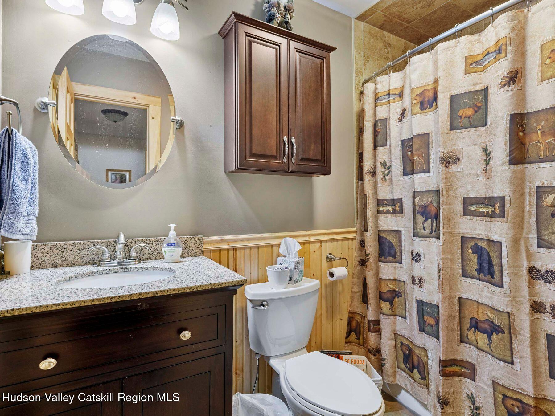 13 Brainard Ridge Road Windham, NY 12496 - Photo 25 of 44 photo_online_013