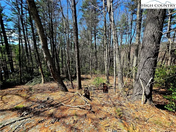a view of outdoor space with deck