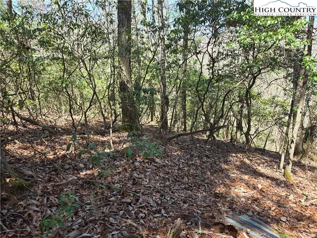 a view of outdoor space