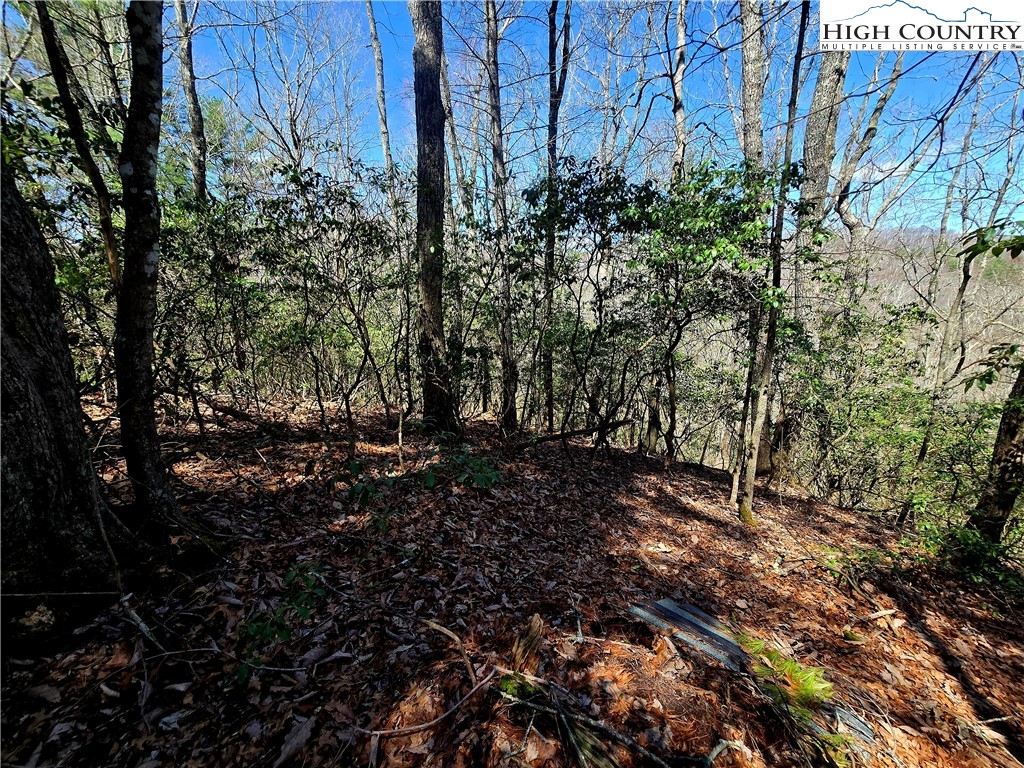 Tbd (lots 5-6) Tbd (lots 5-6) River Ridge Road Boone, NC 28607 - Photo 3 of 11 a view of a forest filled with trees