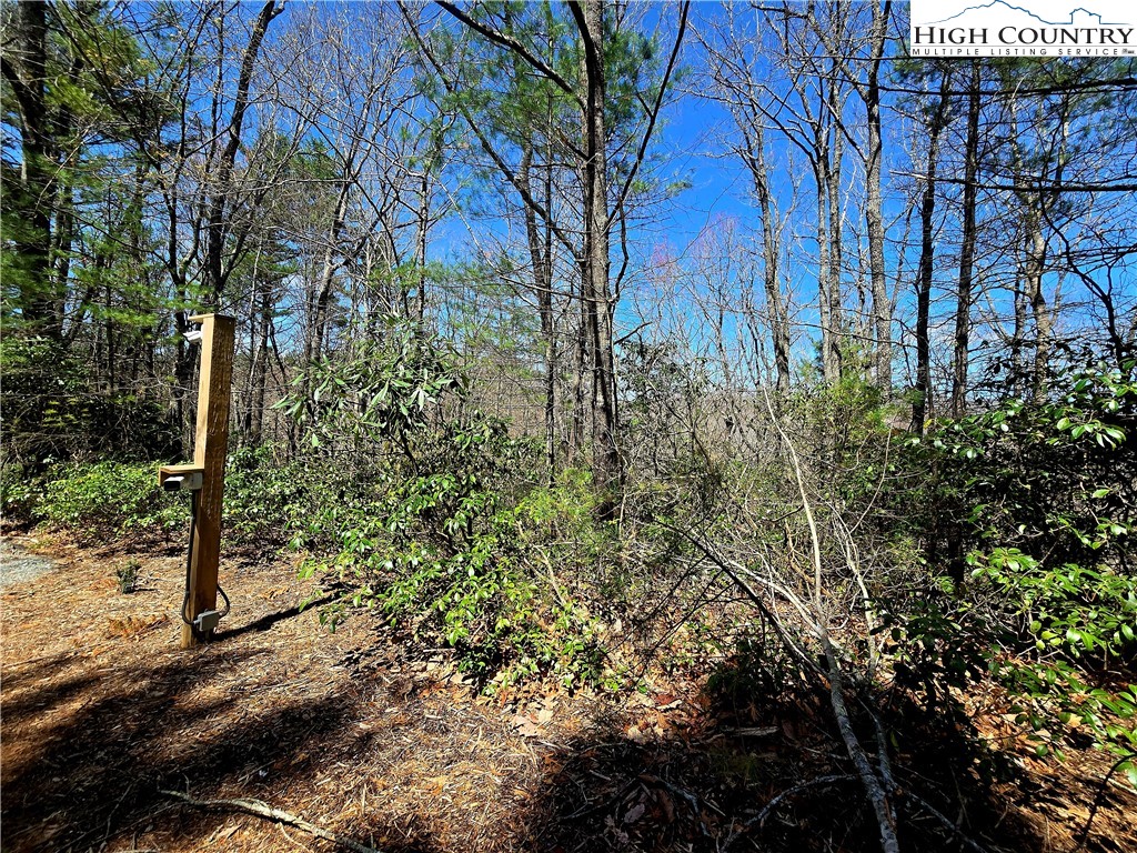 Tbd (lots 5-6) Tbd (lots 5-6) River Ridge Road Boone, NC 28607 - Photo 5 of 11 a view of a yard