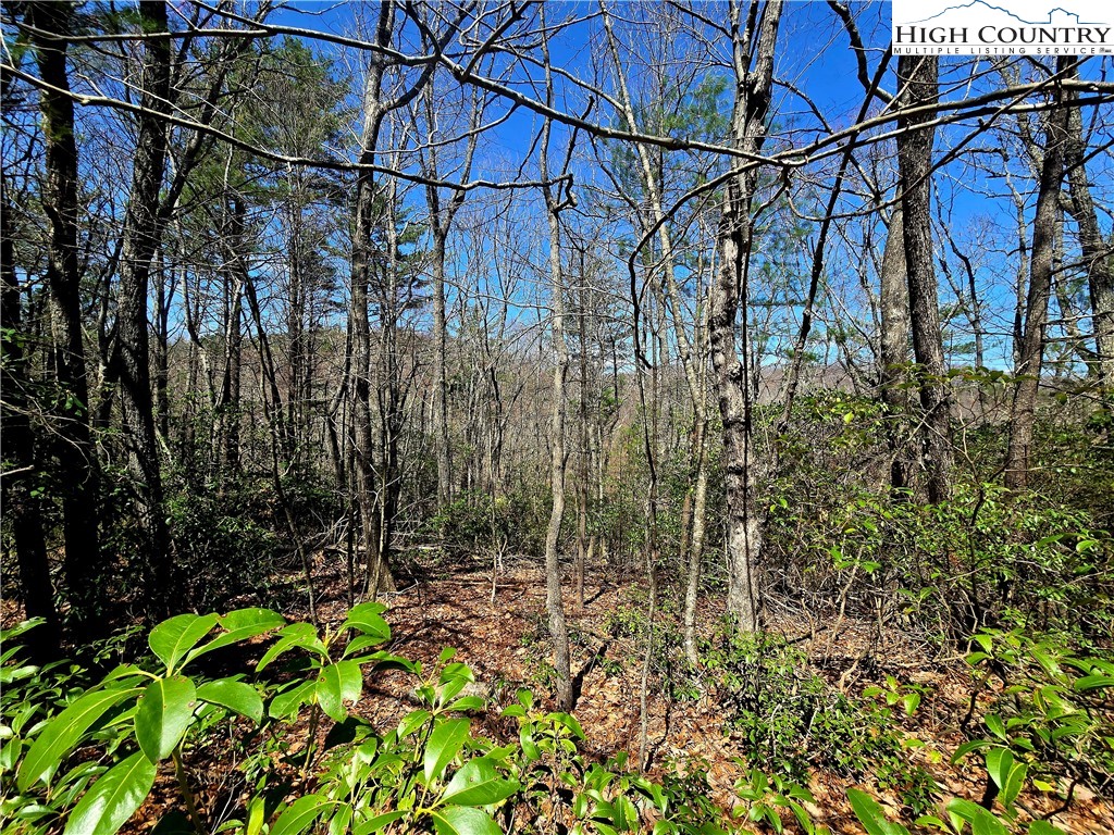Tbd (lots 5-6) Tbd (lots 5-6) River Ridge Road Boone, NC 28607 - Photo 6 of 11 a backyard of a house