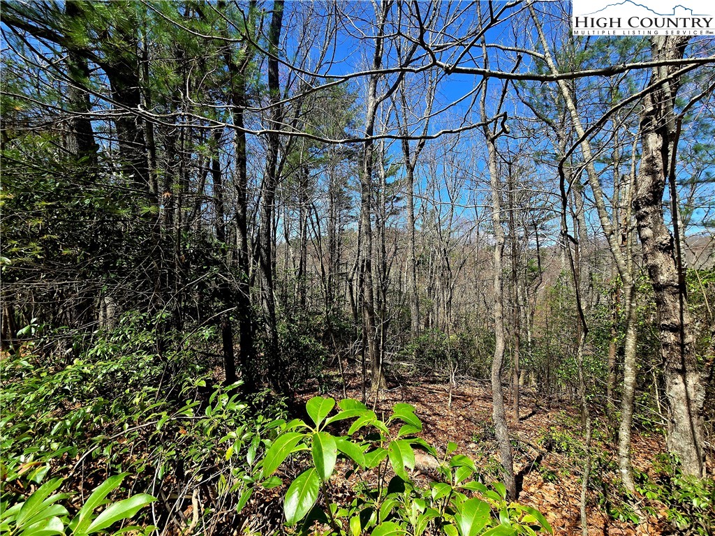 Tbd (lots 5-6) Tbd (lots 5-6) River Ridge Road Boone, NC 28607 - Photo 7 of 11 a view of a yard