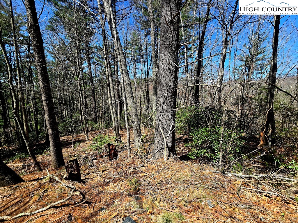 Tbd (lots 5-6) Tbd (lots 5-6) River Ridge Road Boone, NC 28607 - Photo 9 of 11