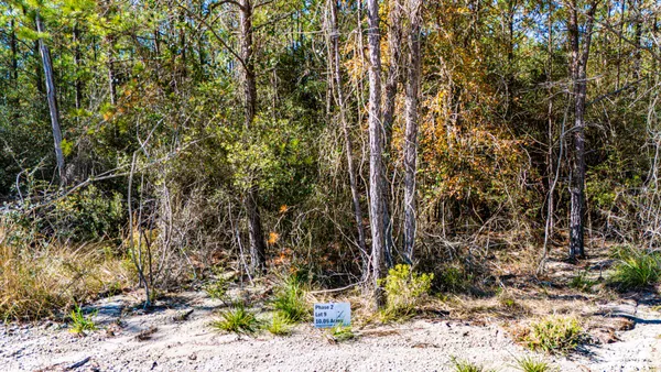 $216,290 | 29 Sportsman Retreat Road, Onalaska, TX 77360