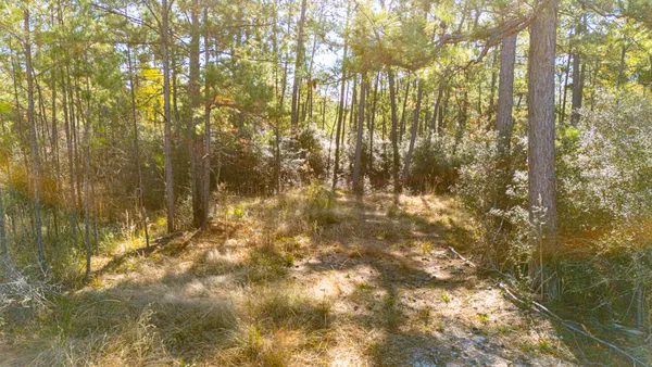 $216,290 | 29 Sportsman Retreat Road, Onalaska, TX 77360