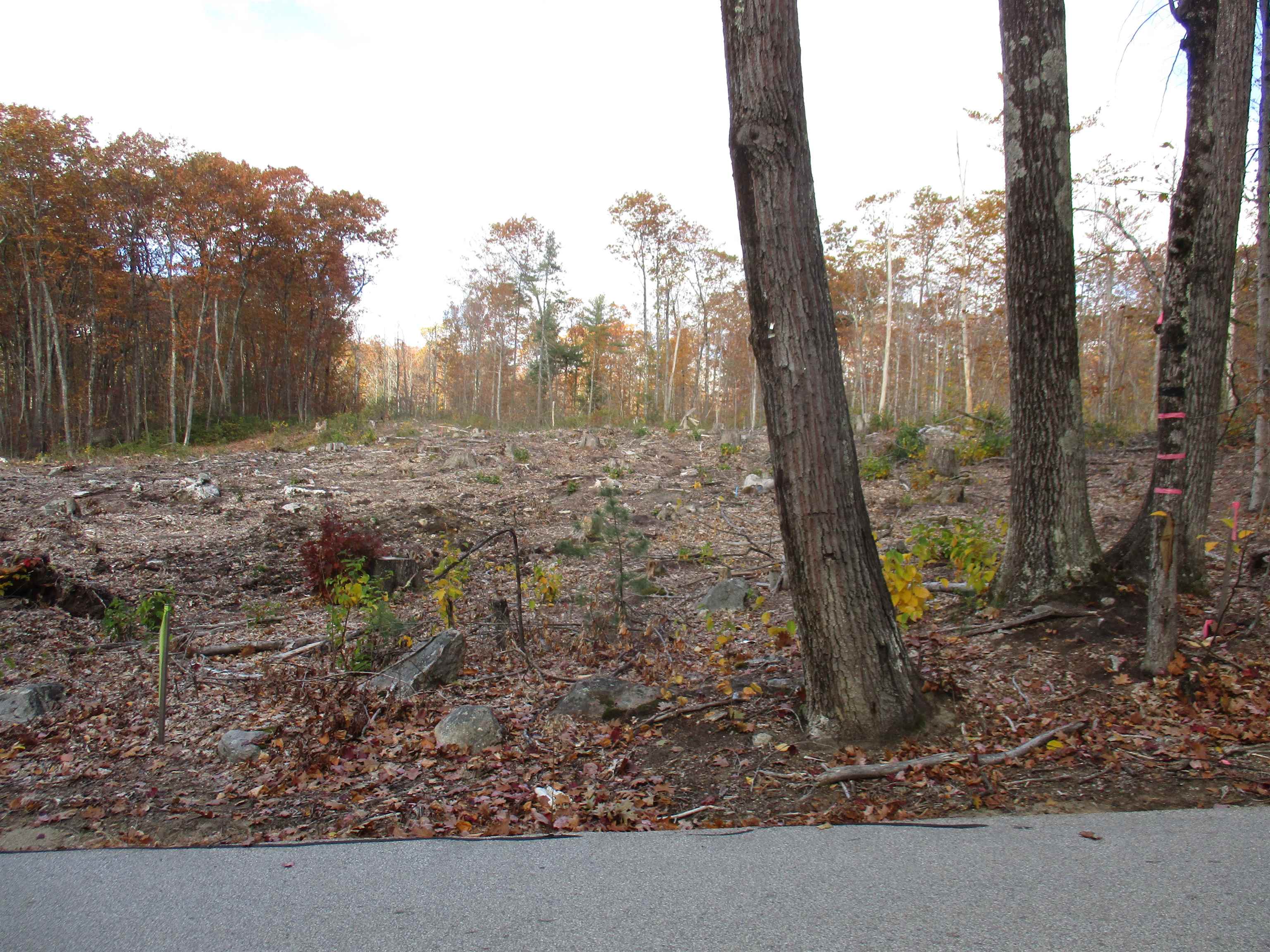 1-65-c Barrett Road Greenville, NH 03048 - Photo 3 of 6