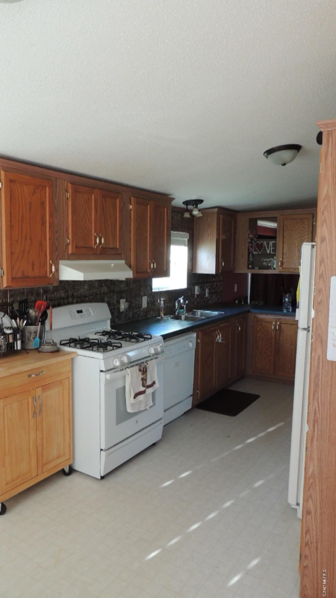 9061 Mick Road Clarksville, MI 48815 - Photo 8 of 17 2017-07-18 07.03.43