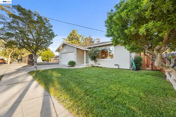 a view of a house with backyard and a tree