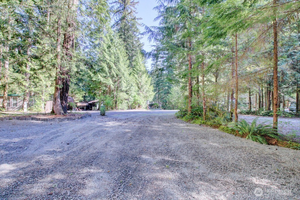 106 Goldrush Road Deming, WA 98244 - Photo 21 of 35 a view of outdoor space and yard
