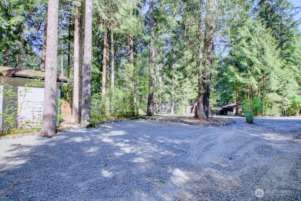 106 Goldrush Road Deming, WA 98244 - Photo 22 of 35 a view of a tree in front of a house