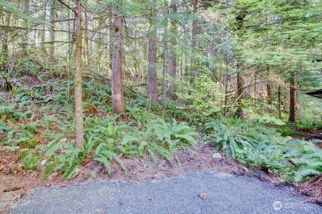 106 Goldrush Road Deming, WA 98244 - Photo 7 of 35 a view of a plants and pathway