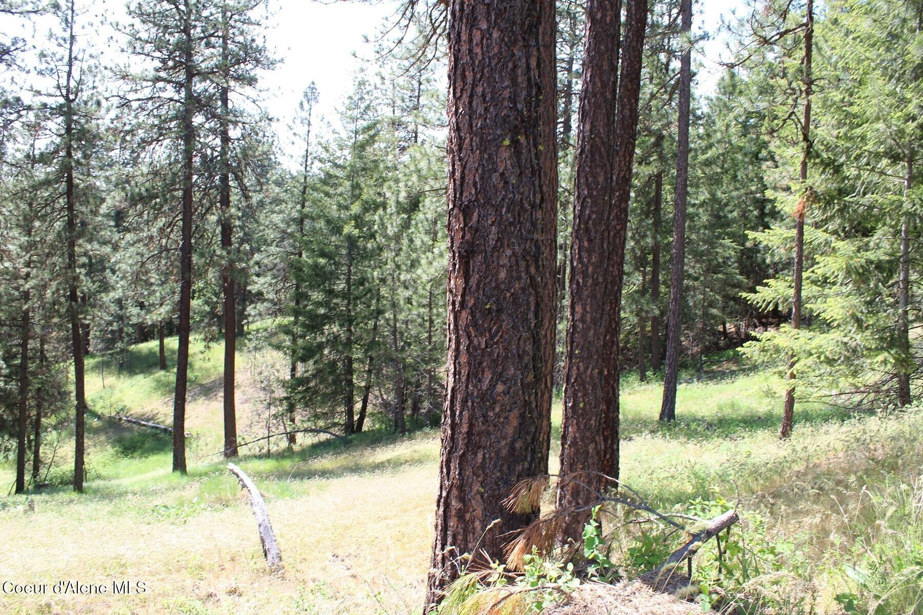 881-2714 South Allen Road Coeur D'Alene, ID 83814 - Photo 53 of 54 IMG_7368
