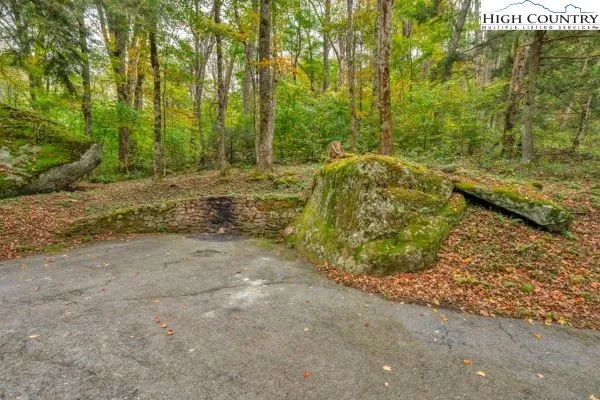 a view of a yard with trees