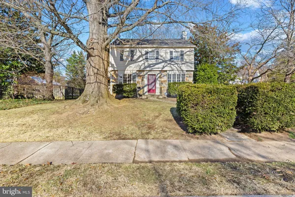 a view of a yard with plants and trees