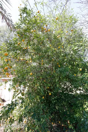 $269,900 | 20 McKenzie Road, Tylertown, MS 39667