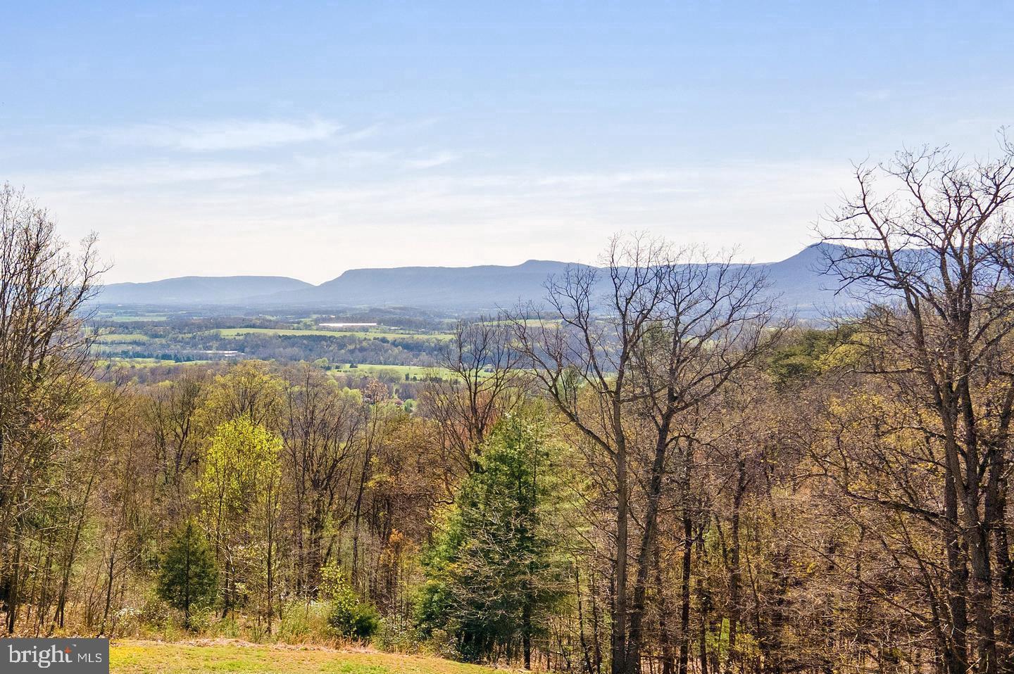 1812 Rileyville Road Rileyville, VA 22650 - Photo 1 of 11 Gallery Image 1
