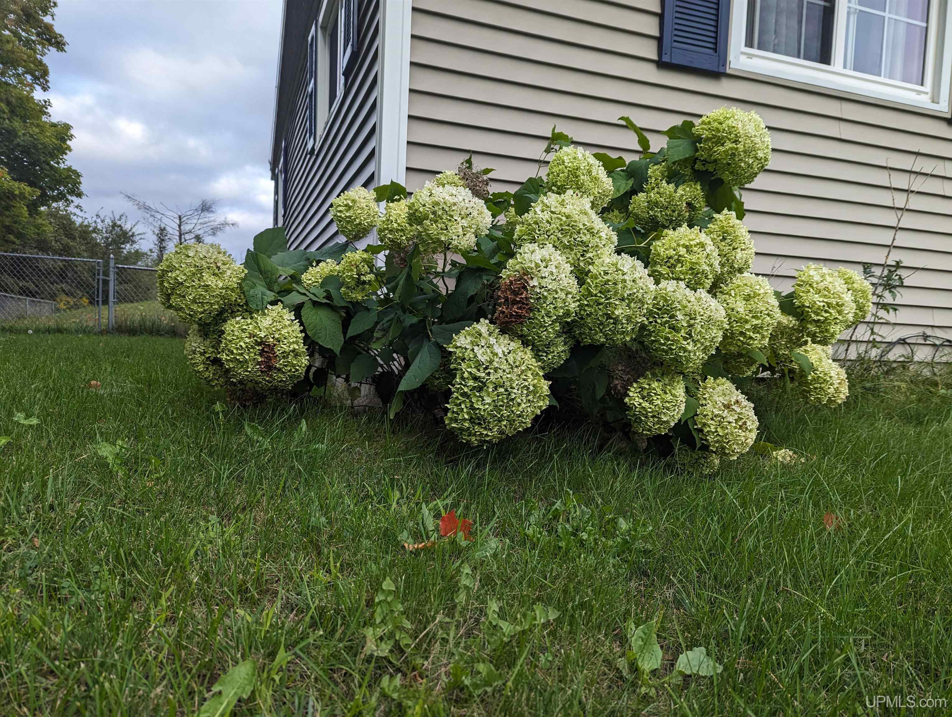 9450 25 Rd Garden Garden, MI 49835 - Photo 2 of 32