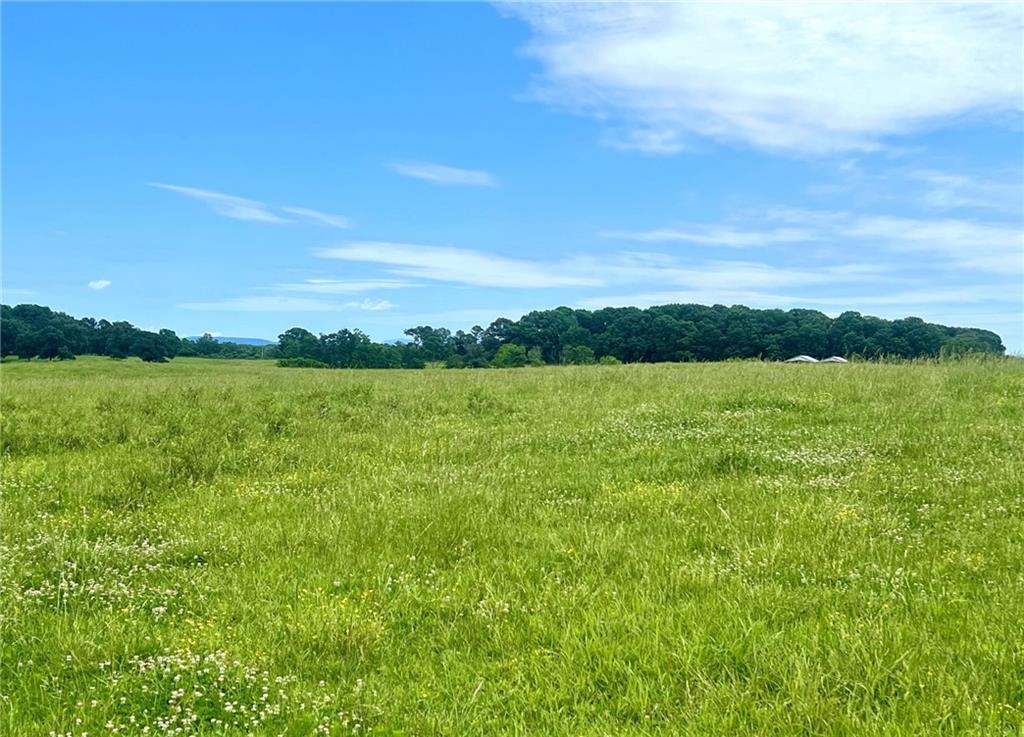 0 Hunts Gin Road Calhoun, GA 30701 - Photo 3 of 12