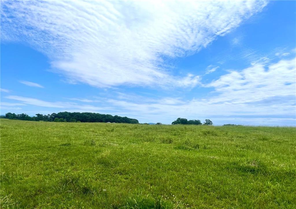 0 Hunts Gin Road Calhoun, GA 30701 - Photo 4 of 12