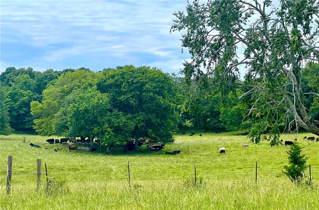 0 Hunts Gin Road Calhoun, GA 30701 - Photo 5 of 12