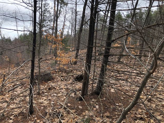 0 Contoocook Falls Road Hillsborough, NH 03244 - Photo 3 of 4 Gallery Image 3