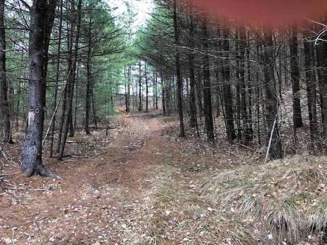 0 Contoocook Falls Road Hillsborough, NH 03244 - Photo 4 of 4 Gallery Image 4