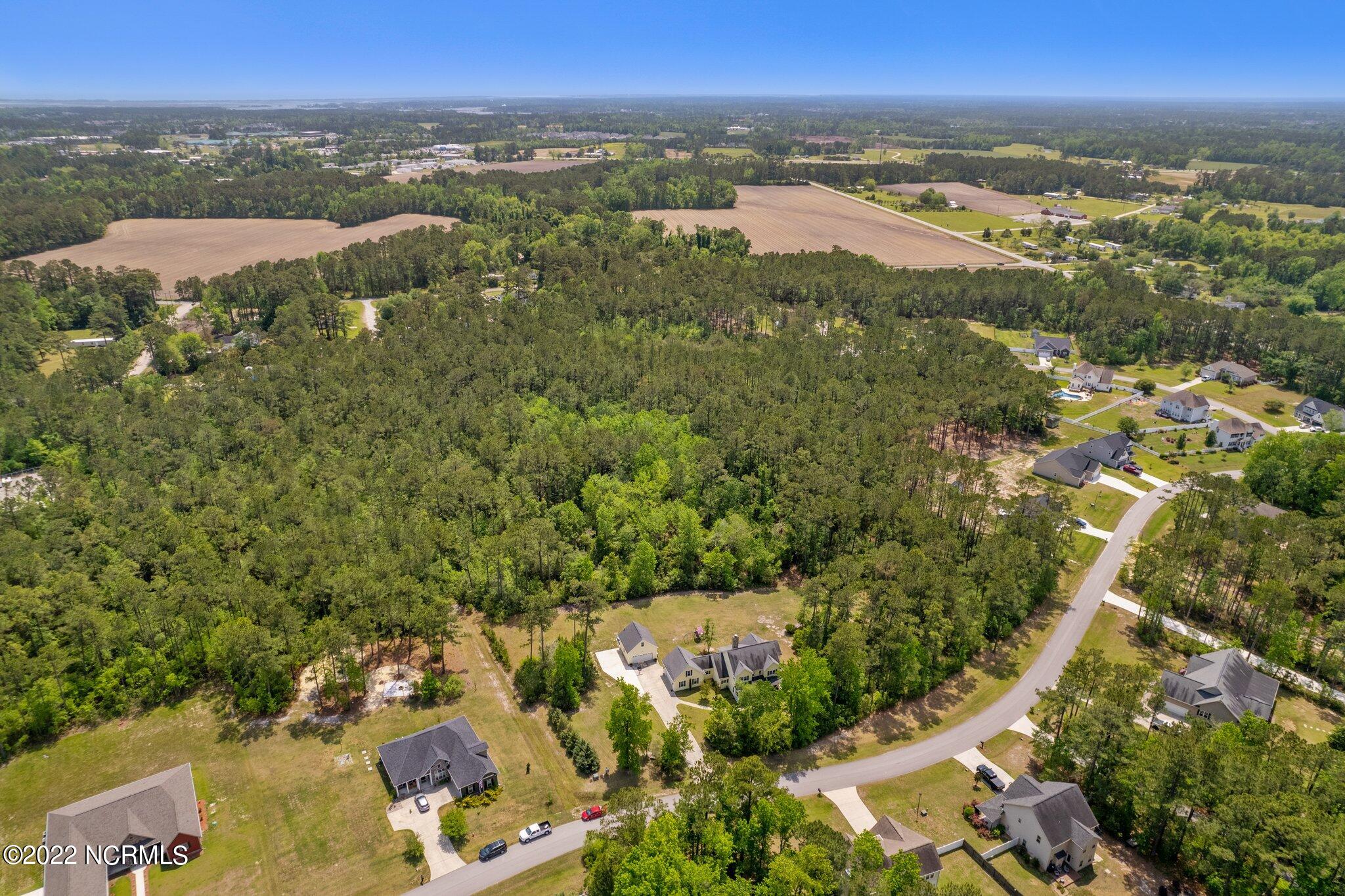 112 Forest Ridge Trail Swansboro, NC 28584 - Photo 66 of 74 9-web-or-mls-DJI_0744