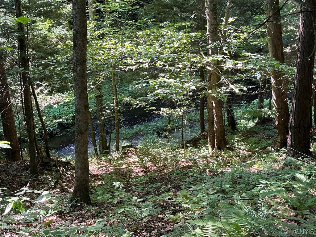 Center Road Lacona, NY 13083 - Photo 35 of 38