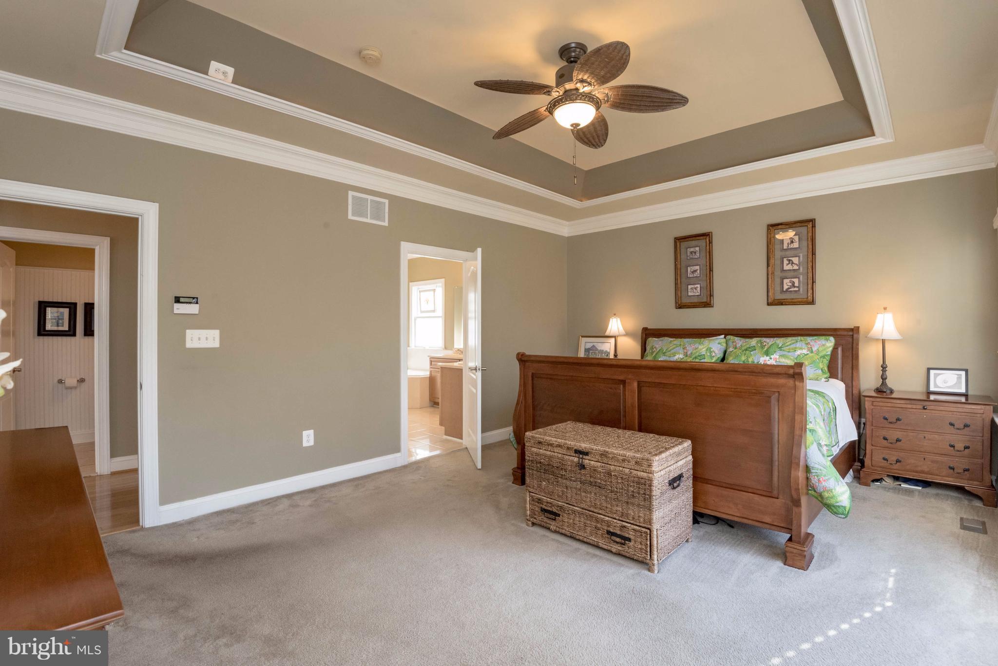 7740 West Shore Road Pasadena, MD 21122 - Photo 20 of 30 Master with Tray ceiling